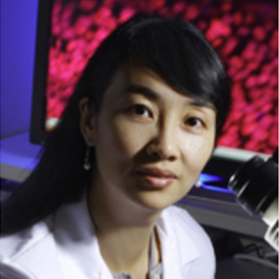 Guo-li Ming, M.D., Ph.D.
