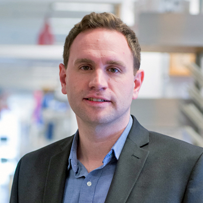 Artificial cells can deliver molecules better than their natural counterparts