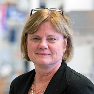 Nancy A. Speck, Ph.D.