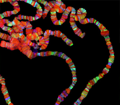 Epigenetics