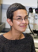 Meera Sundaram, PhD